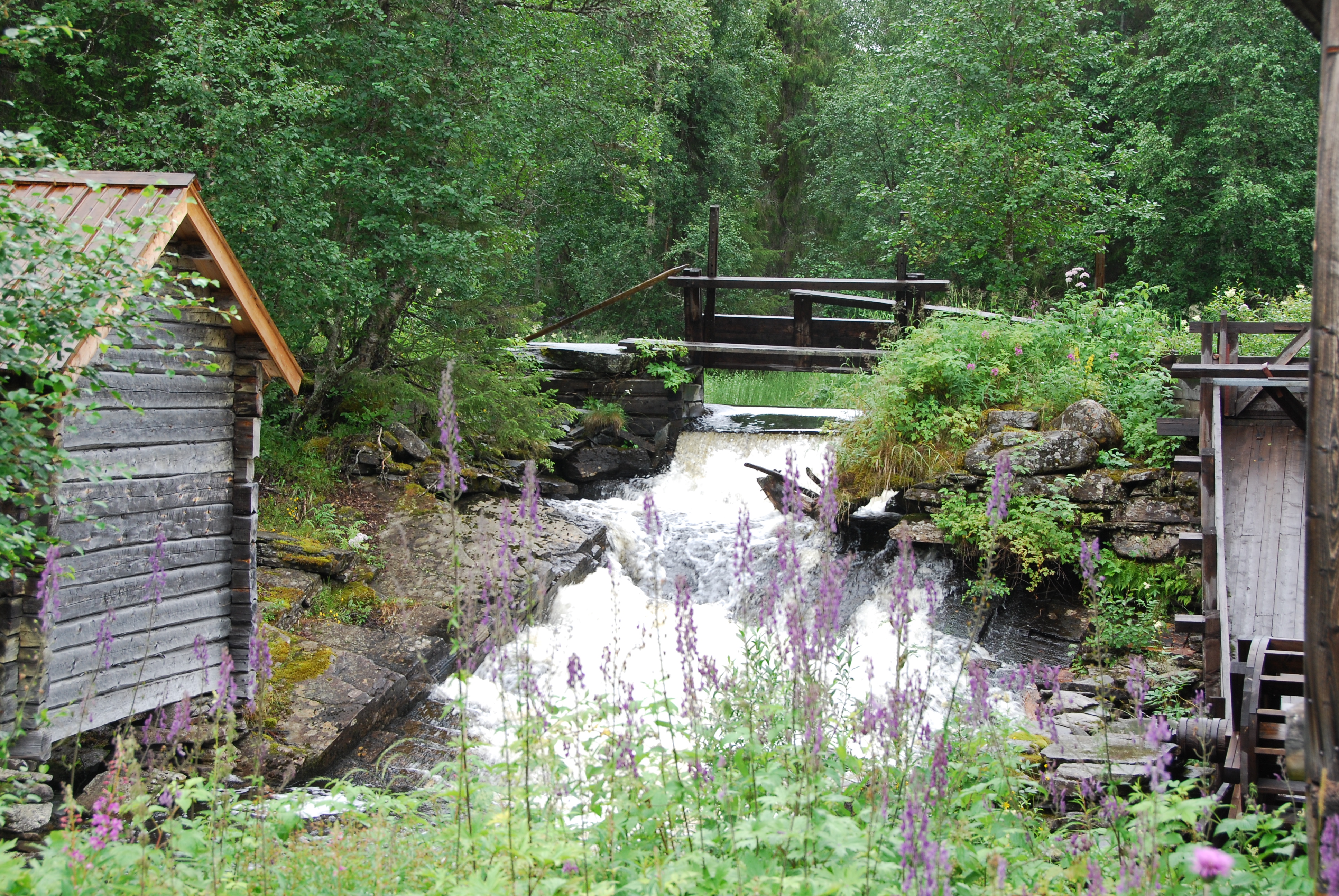 Finnsöter